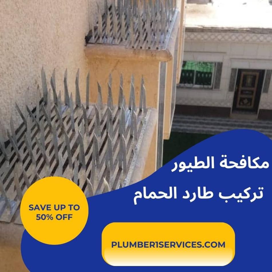  تركيب طارد حمام في الفجيرة 